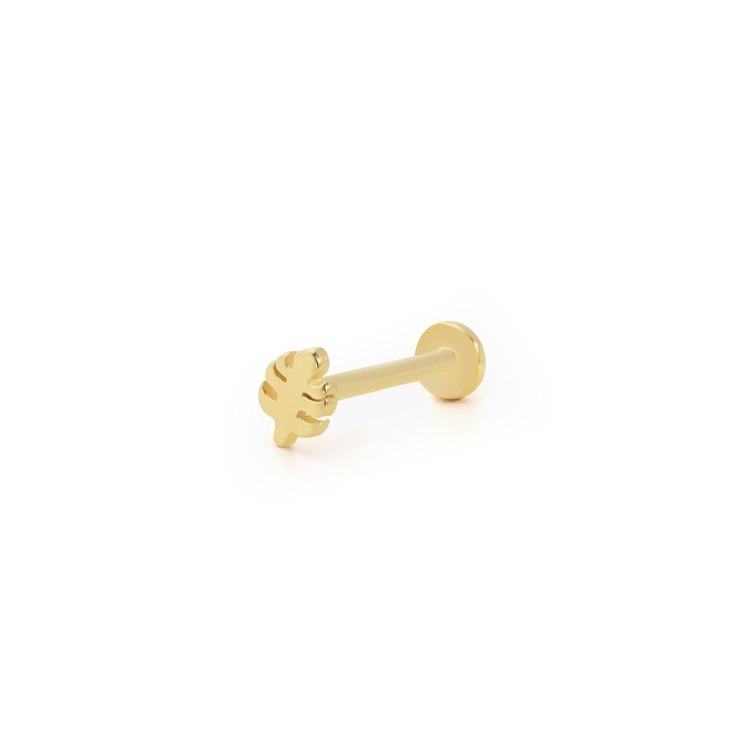 14K Gold Tragus Ohrring