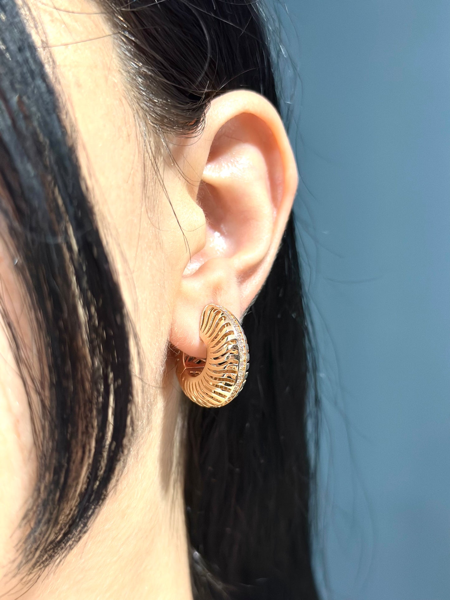 Serelith Ohrring aus 14 Karat Massivgold mit Steindetails