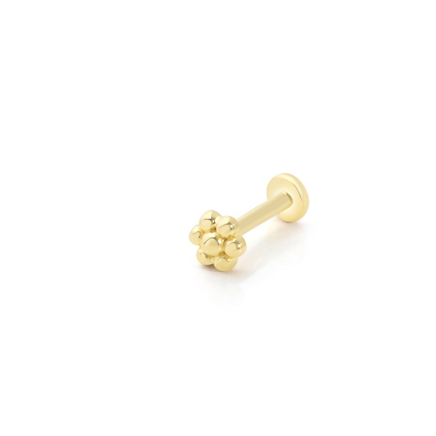 14K Gold Tragus Ohrring