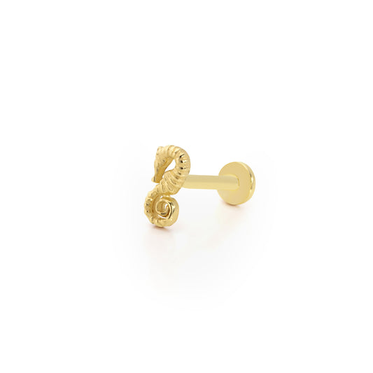 14K Gold Tragus Ohrring