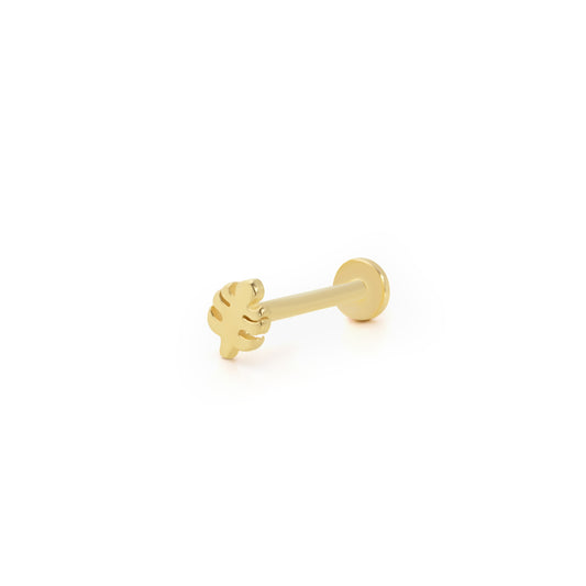 14K Gold Tragus Ohrring